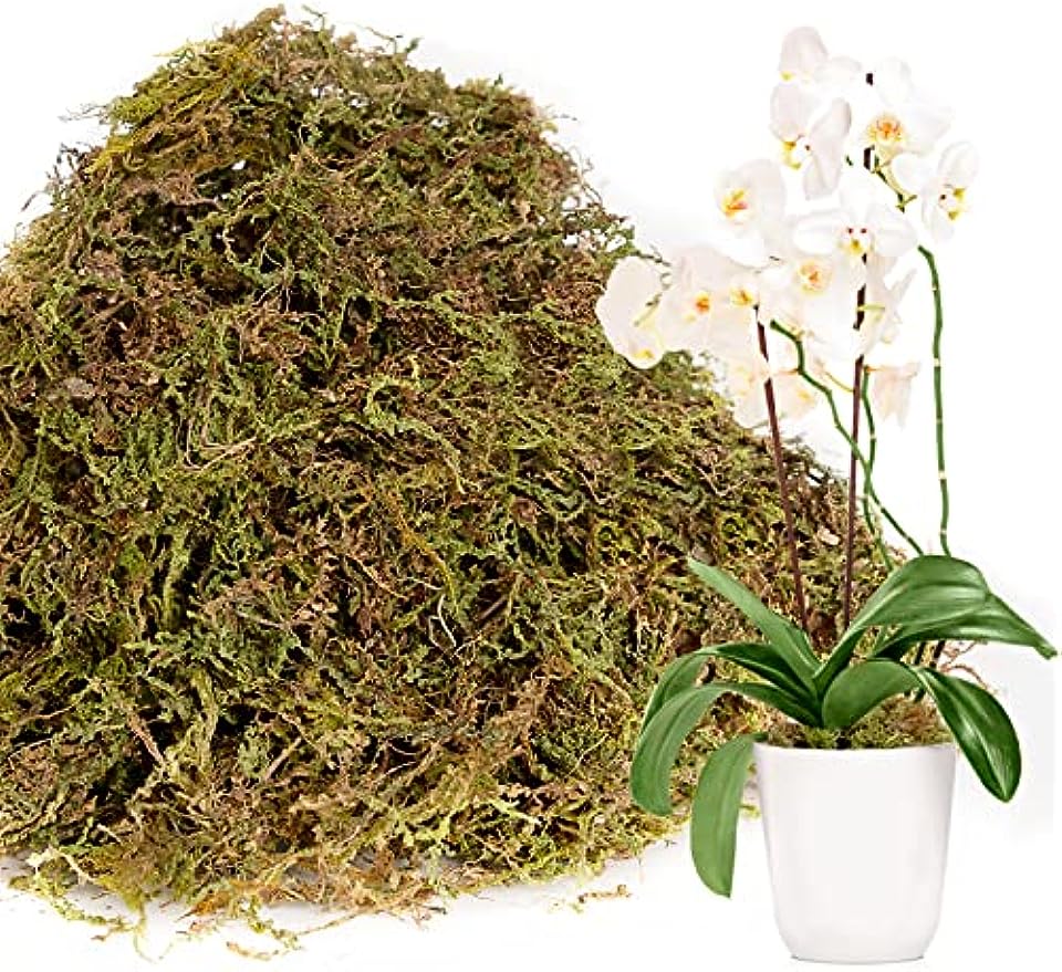 CLSR2U Dried Moss for Plants - 1.5qt/3.5oz Orchids Reptiles Live Moss – NEW  BOB