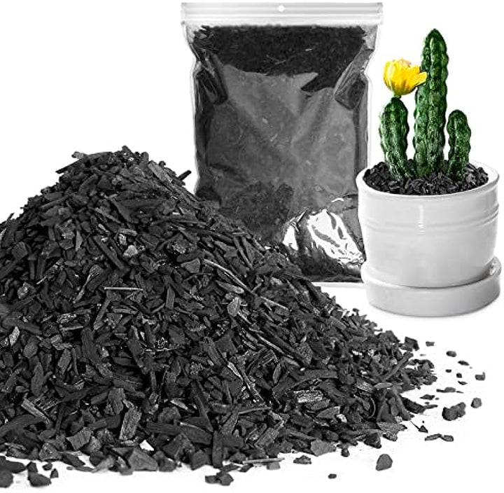 Horticultural Charcoal Biochar for Houseplants & Terrariums – The Plant  Lady SF